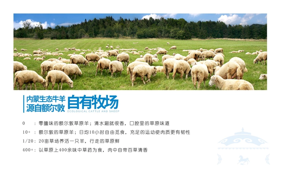 额尔敦传统唰火锅招商加盟品牌手册(30P)_第5页