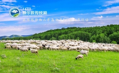 额尔敦传统唰火锅招商加盟品牌手册（30P）