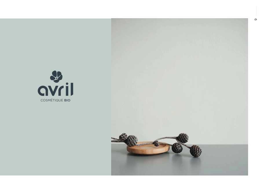 法国四月风Avril 护肤品牌VI手册（2019）_第9页