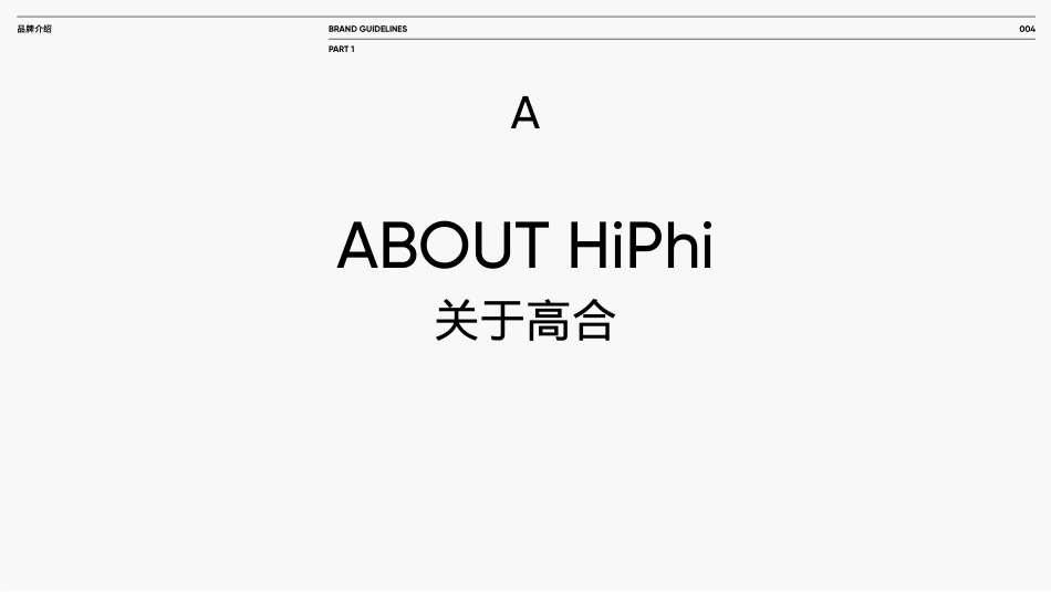 高合(HiPhi)品牌视觉识别规范手册2.0_第4页