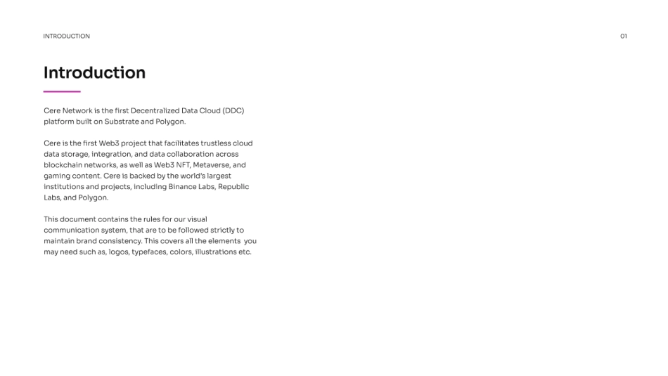 谷歌网络Cere-Network品牌VI手册2022_第3页