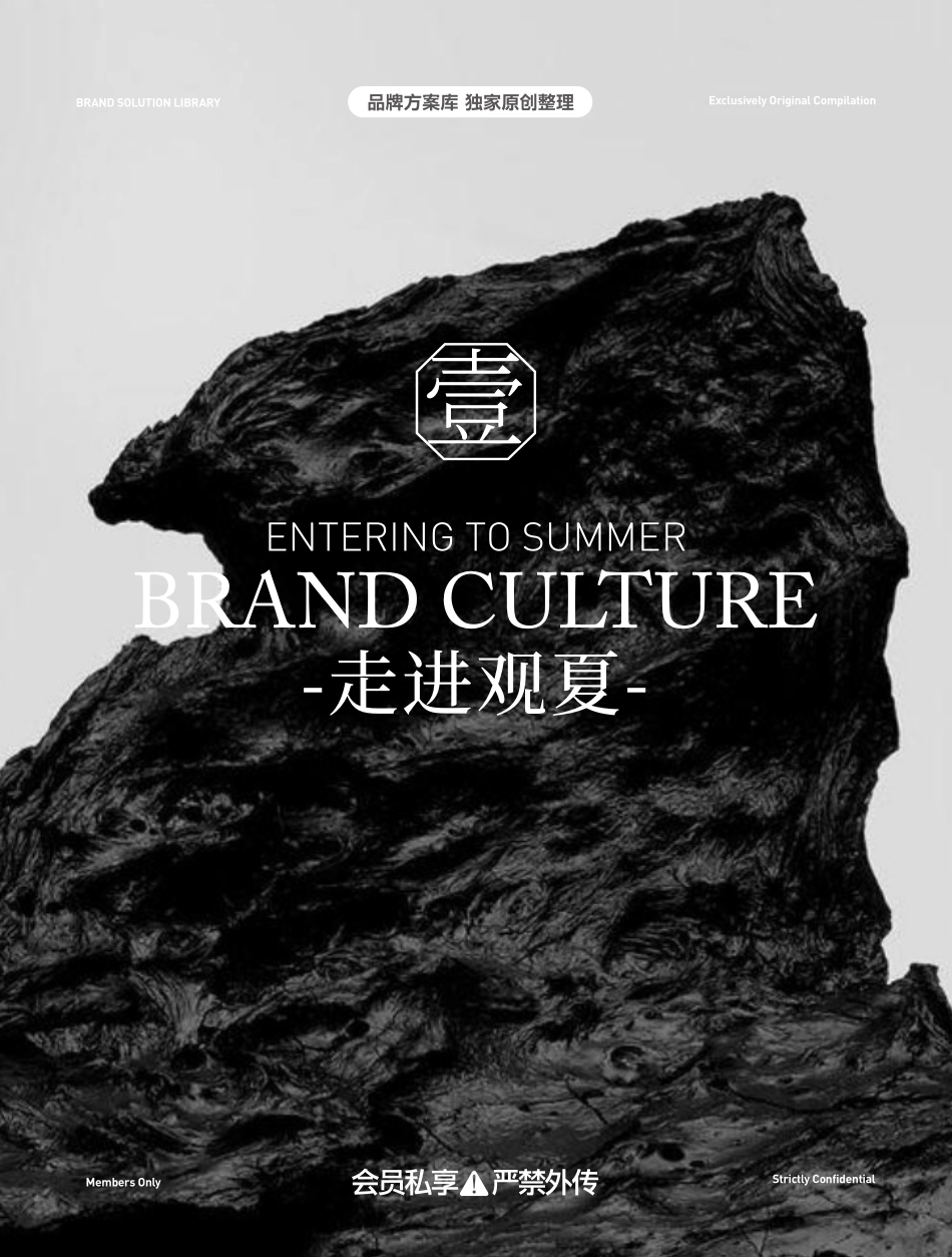 观夏品牌资料全收录-品牌方案库独家出品-会员私享严禁外传_第2页