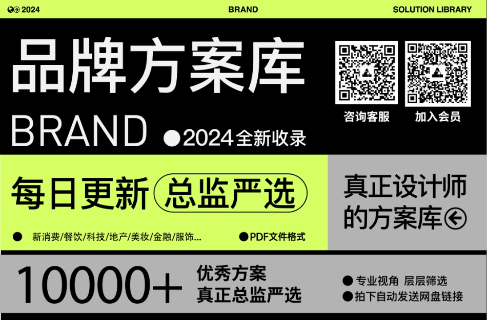 观夏品牌资料全收录-品牌方案库独家出品-会员私享严禁外传_第4页