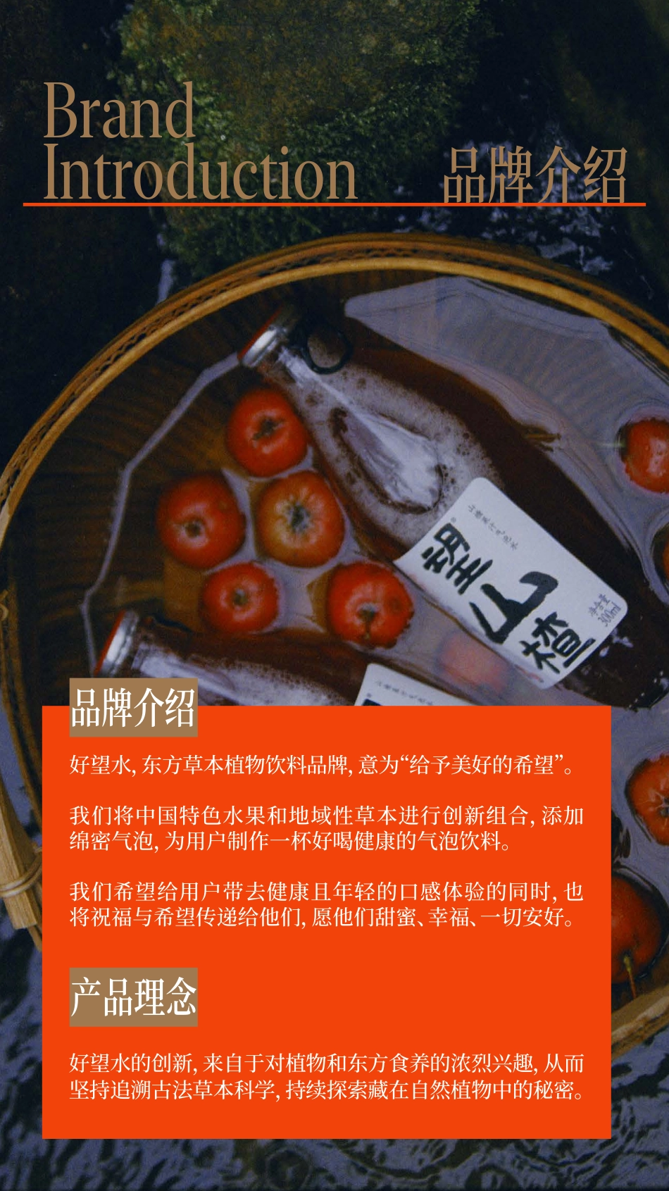 好望水品牌手册_2024_第2页