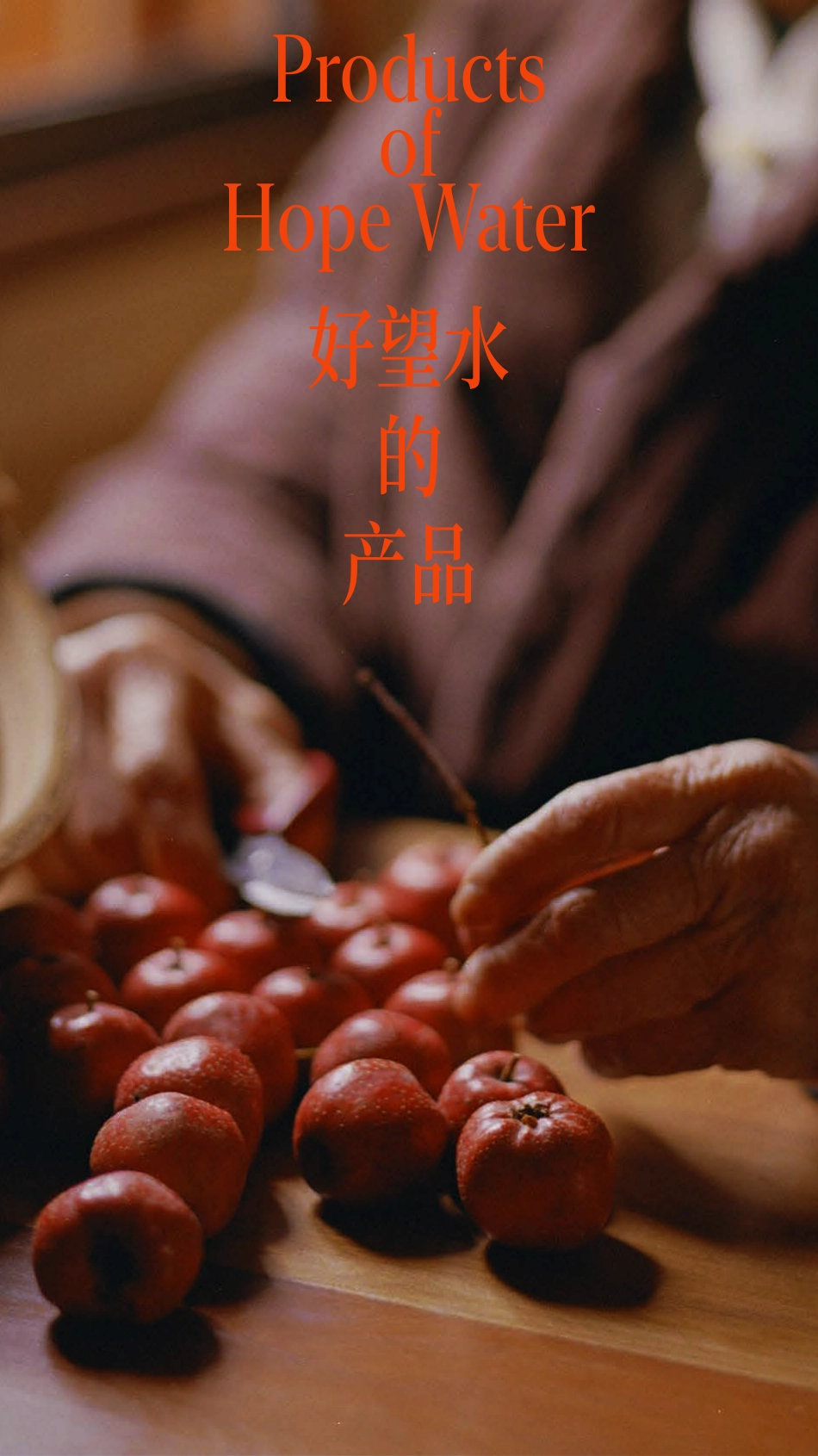 好望水品牌手册_2024_第6页