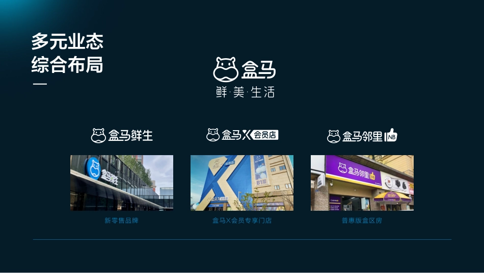 盒马鲜生品牌手册(pdf 29p)_第6页