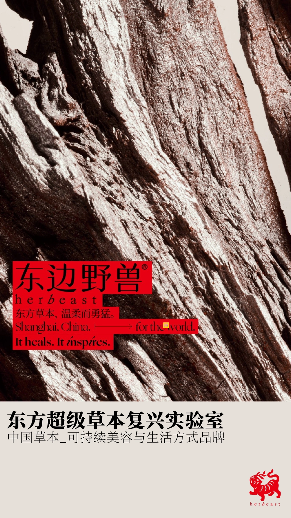 护肤品牌东边野兽品牌手册(2)_第1页