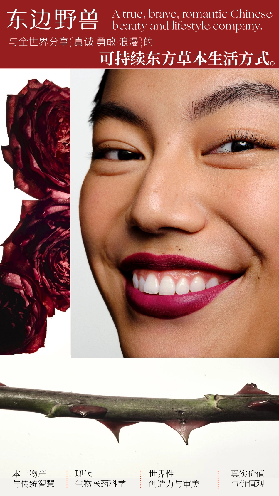 护肤品牌东边野兽品牌手册(2)_第10页
