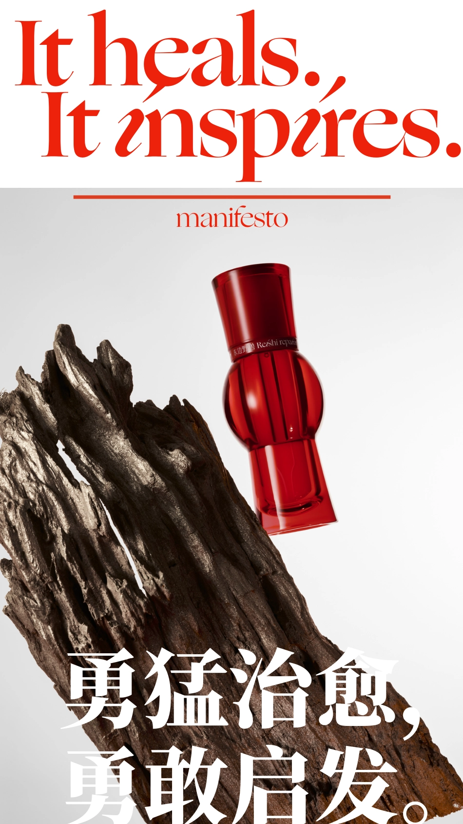 护肤品牌东边野兽品牌手册(2)_第7页