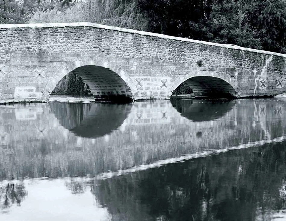 灰雁Grey Goose-vi手册2011_第6页