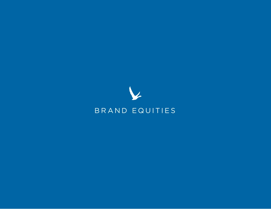 灰雁Grey Goose-vi手册2011_第8页