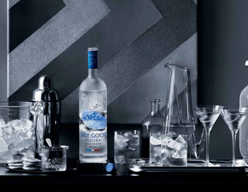 灰雁Grey Goose-vi手册2011_第9页