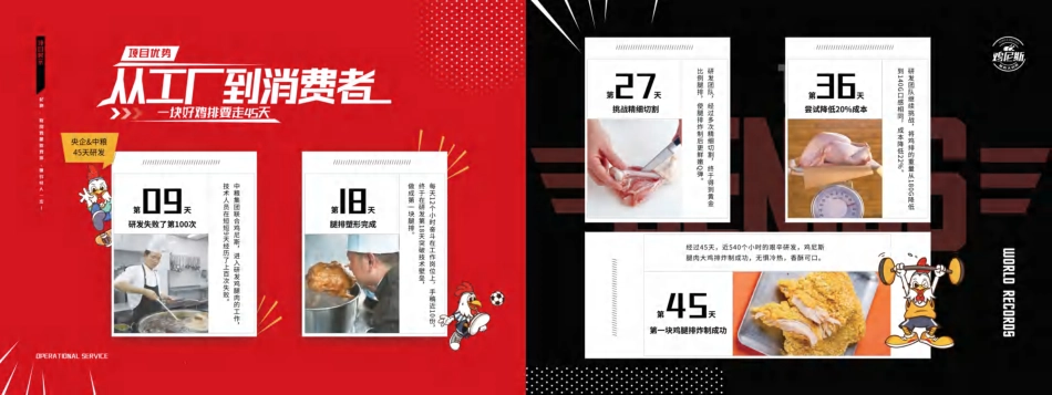 鸡尼斯招商加盟手册(37P)_第6页