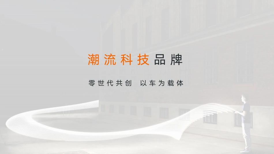 极氪汽车品牌介绍_第8页