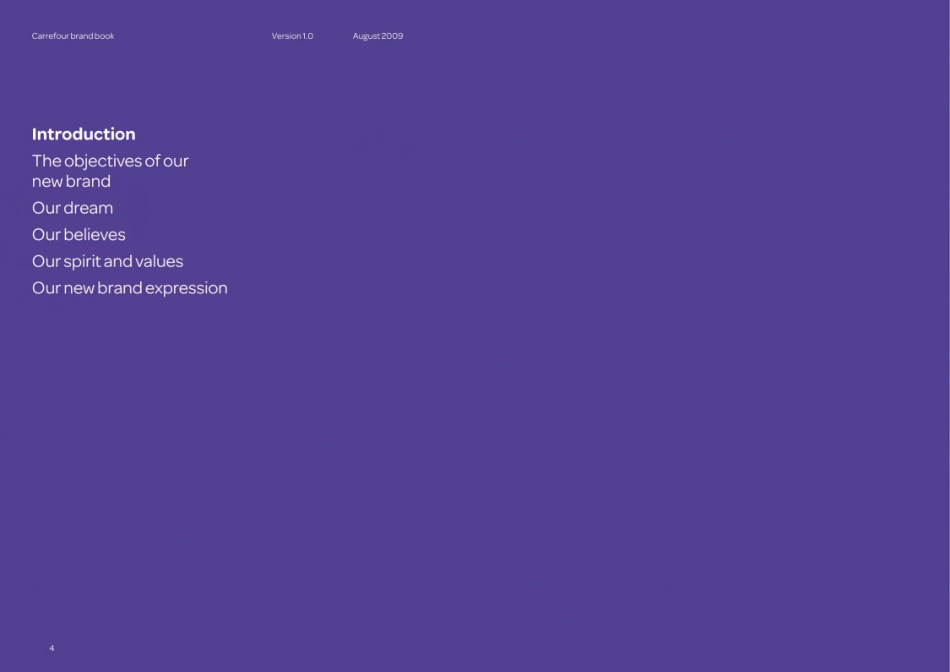 家乐福2009_第4页