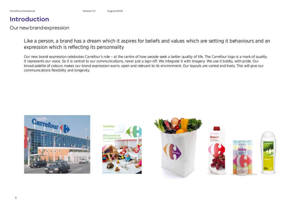 家乐福2009_第9页