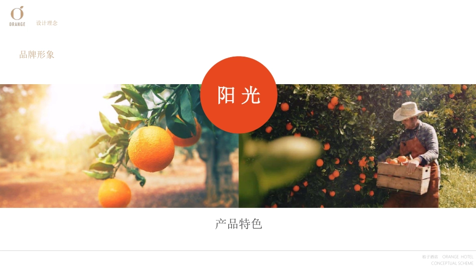 桔子酒店品牌手册 标准手册_第5页