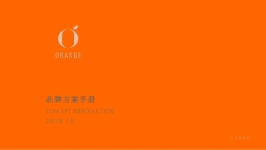 桔子酒店品牌手册 标准手册