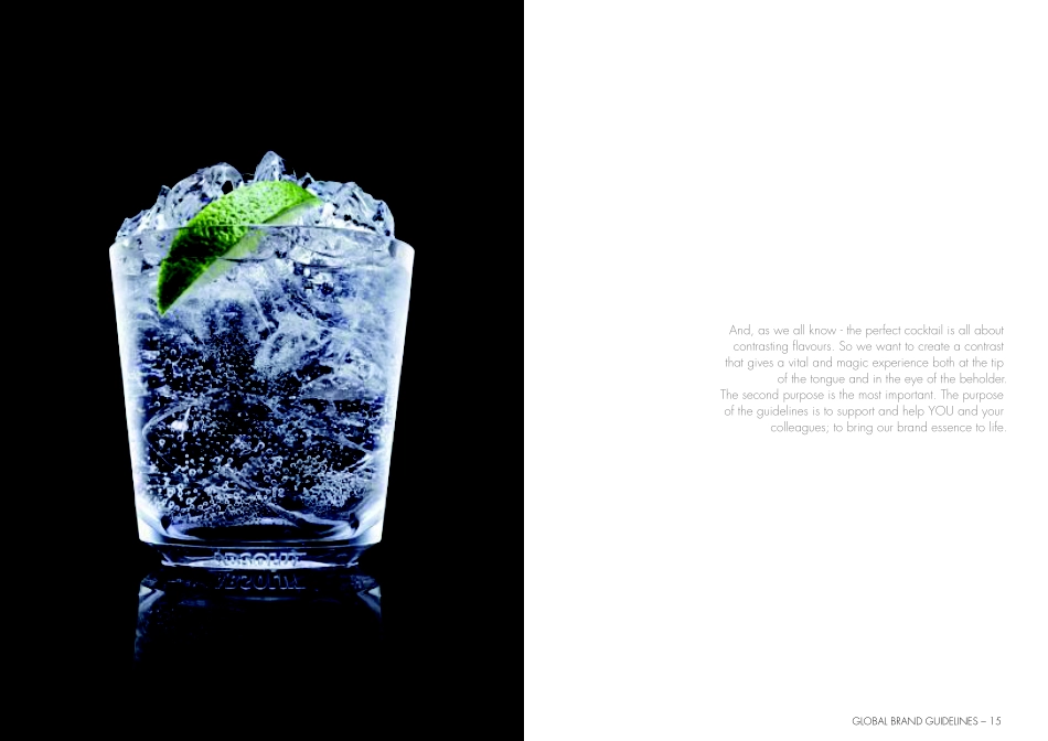 绝对伏特加vodka-2009_第8页