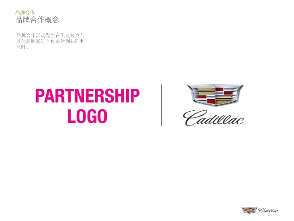 凯迪拉克品牌识别指南(补充规范V1)_第4页