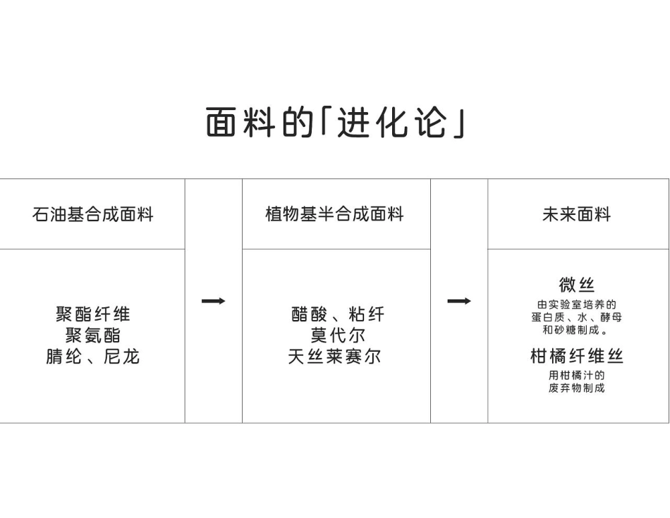 内衣品牌策划及创意方案_第8页