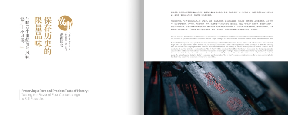 泸州老窖品牌手册_第10页