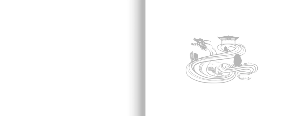 泸州老窖品牌手册_第2页