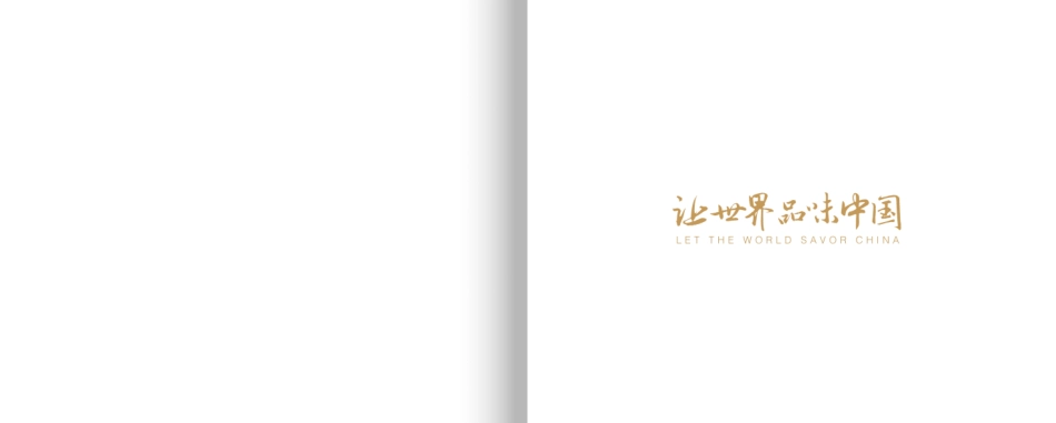 泸州老窖品牌手册_第3页