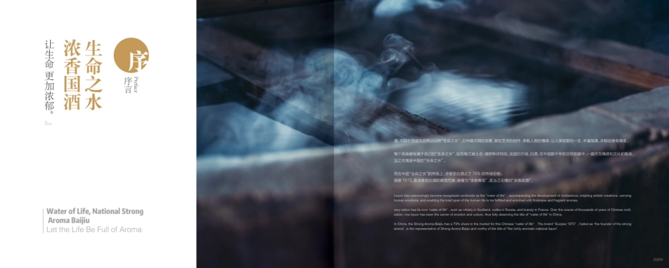 泸州老窖品牌手册_第6页