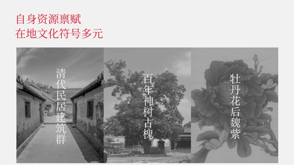 洛阳魏坡新序发展规划(pdf 78p)_第10页