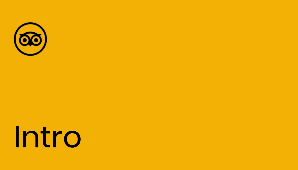 猫途鹰Tripadvisor-vi手册-2020_第3页