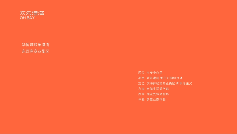 品牌手册丨华侨城欢乐港湾招商手册_第3页