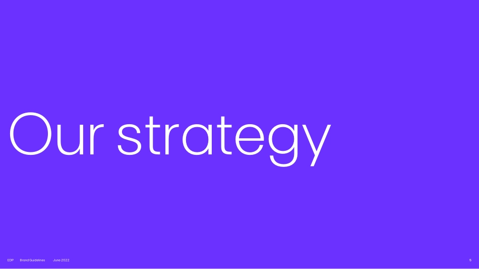 葡萄牙能源公司EDP--vi手册2022_第5页