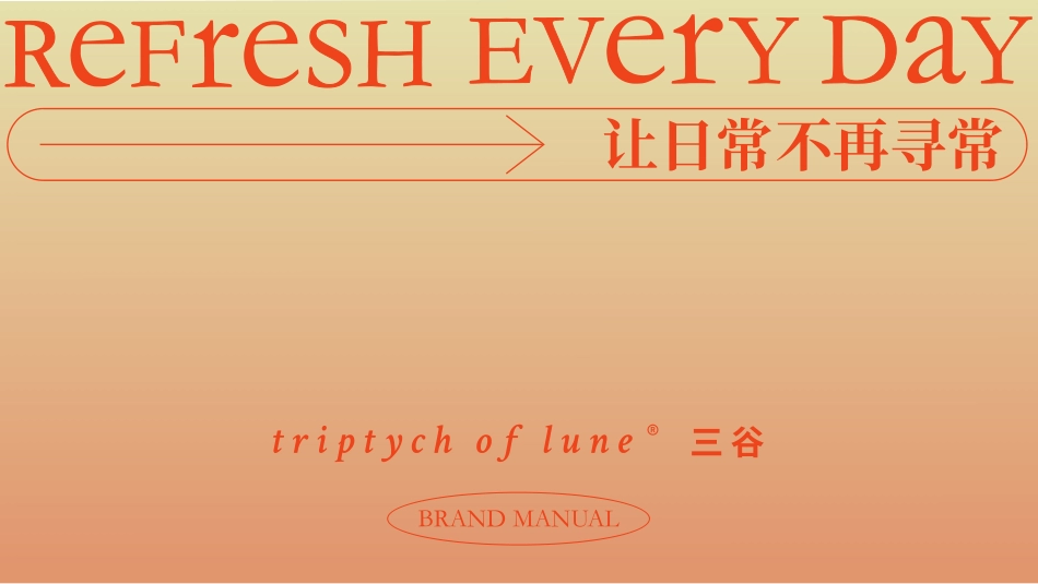 三谷品牌手册_第2页