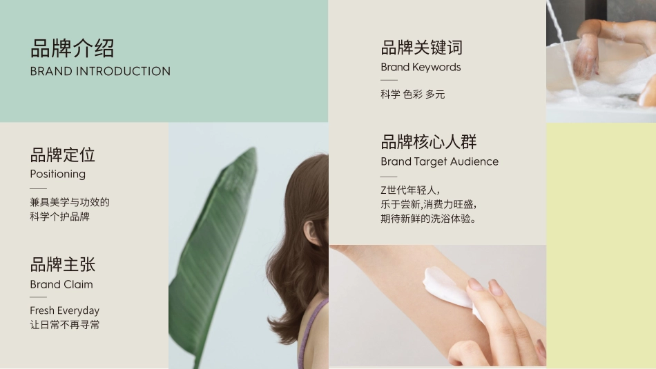 三谷品牌手册_第5页