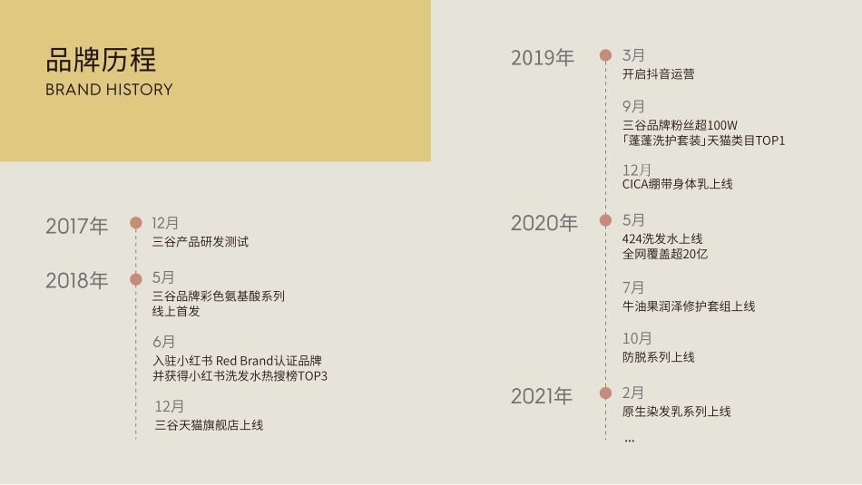 三谷品牌手册_第6页