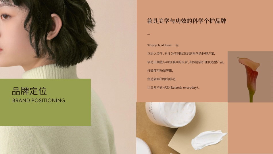 三谷品牌手册_第7页