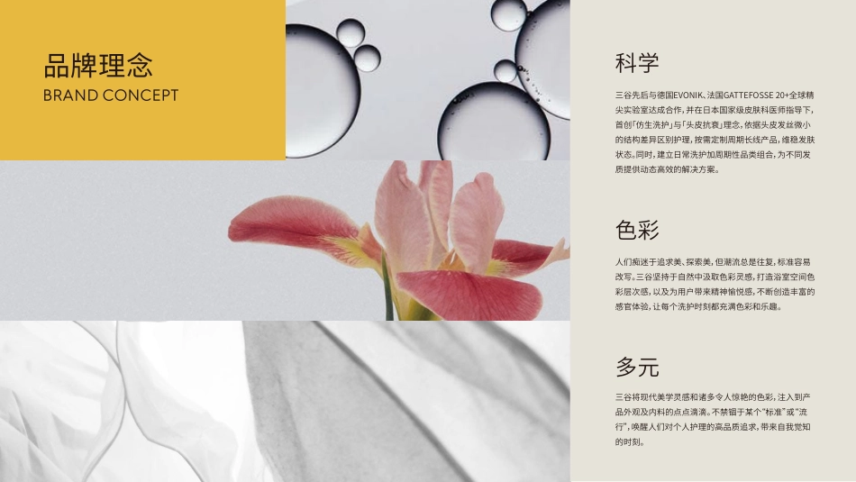 三谷品牌手册_第8页