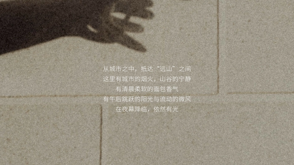 深圳大可山招商手册_第6页