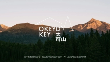 深圳大可山招商手册