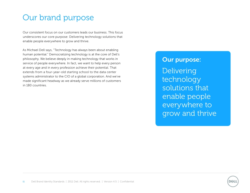 世界五百强戴尔VI品牌系统_第3页
