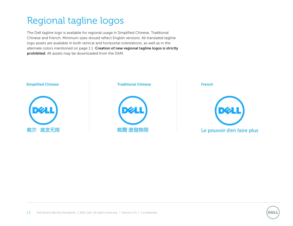 世界五百强戴尔VI品牌系统_第9页