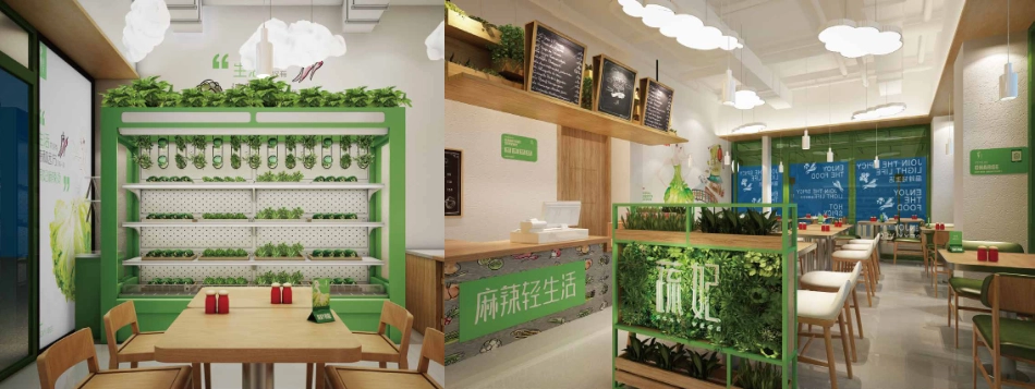 蔬妃麻招商加盟品牌手册(16P)_第9页