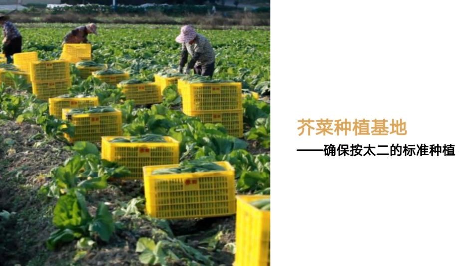 太二老坛子酸菜鱼招商加盟品牌手册(65P)_第10页