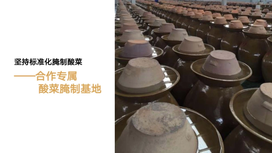 太二老坛子酸菜鱼招商加盟品牌手册(65P)_第9页