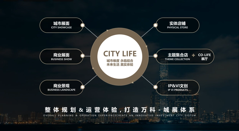 万科理想之城商业运营策划方案I_第2页