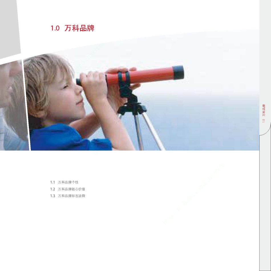 万科品牌视觉识别手册(最新全套VI系统)_第4页