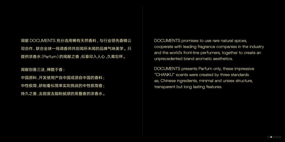 闻献DOCUMENTS 品牌手册_第5页