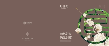 乌龙苑奶茶招商加盟品牌手册（21P）