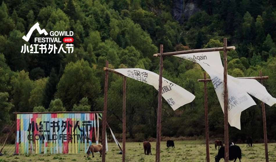 小红书外人节设计方案_第1页